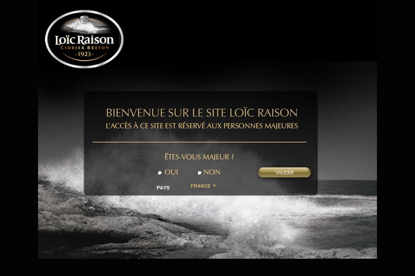 Aperitif theme site design template sample