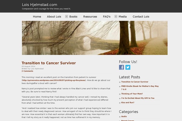 loishjelmstad.com site used Rt_maelstrom_wp