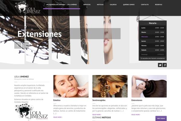 HairPress theme site design template sample