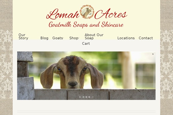 Site using jano wp and woocommerce advanced search plugin