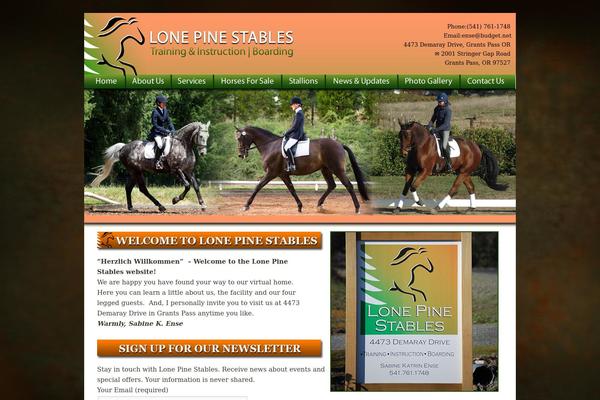 Divi Child theme site design template sample