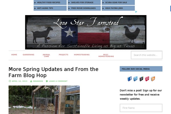 Daily Dish Pro theme site design template sample
