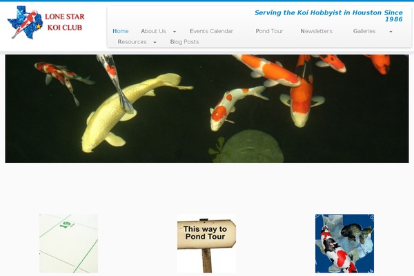 Site using Document Gallery plugin