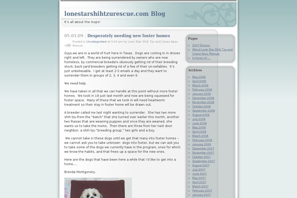 lonestarshihtzurescue.com site used Ocadia