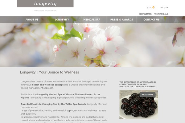 Site using Filter Custom Fields & Taxonomies Light plugin