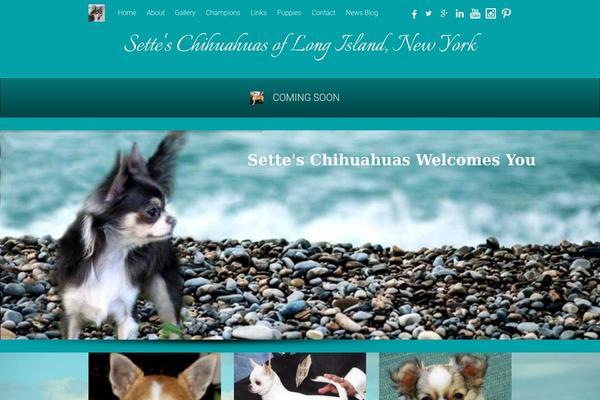 Site using Circle Image Slider With Lightbox plugin