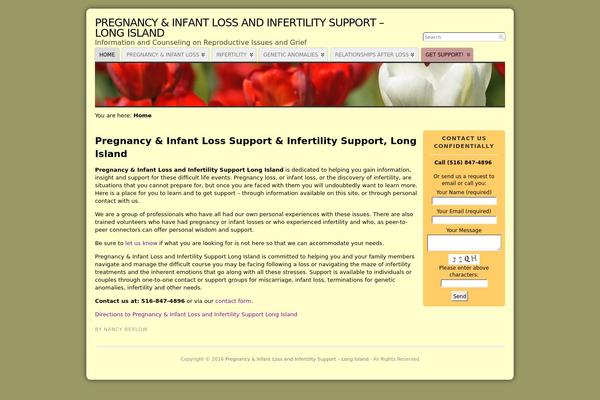 Atahualpa353 theme site design template sample