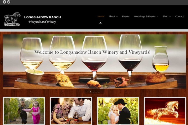 Celestino theme site design template sample