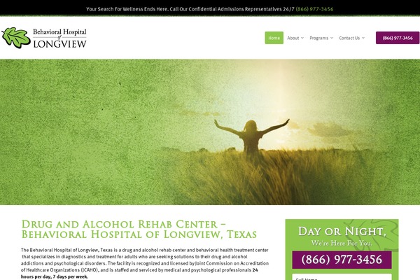 Superior theme site design template sample