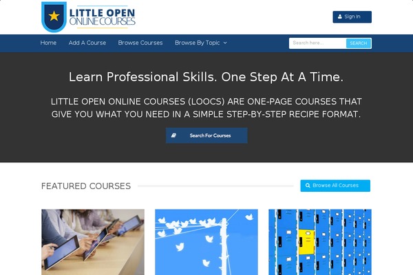 WPLMS theme site design template sample