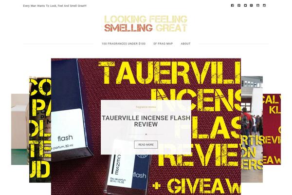 lookingfeelingsmellinggreat.com site used Explorer