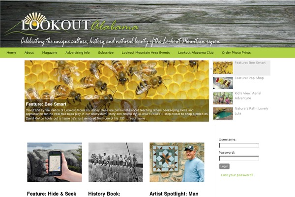 Site using fw-vimeo-videowall plugin