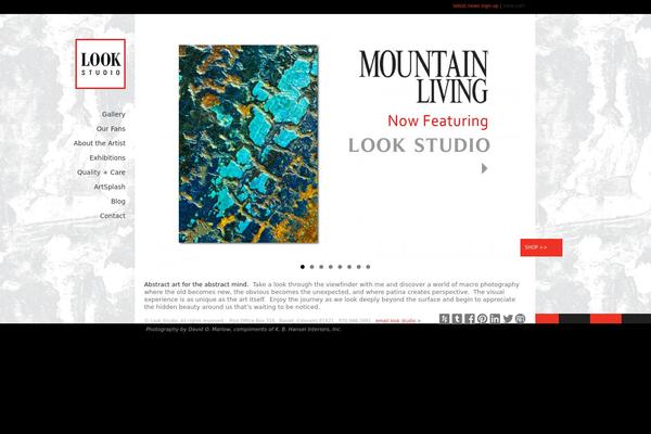 Look theme site design template sample