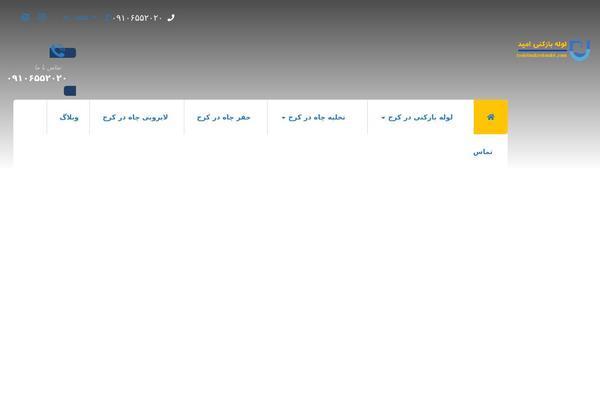 Site using Wp-rocket_old plugin