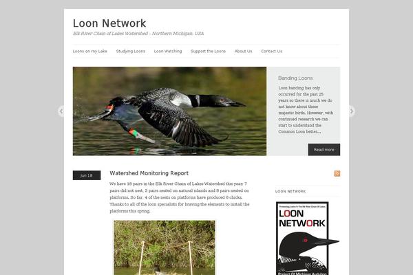 Linen theme site design template sample