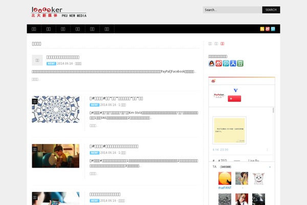 A Supercms theme websites examples
