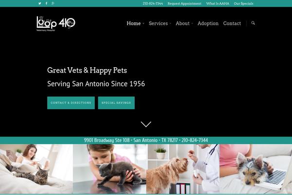 Salient theme site design template sample