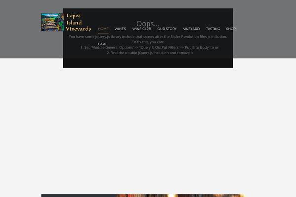 Site using Otw-blog-manager plugin