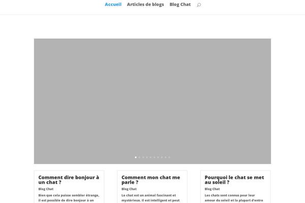 Site using Visitors-traffic-real-time-statistics plugin