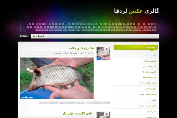 mysite theme websites examples