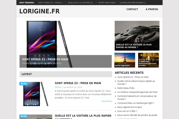 Point theme site design template sample