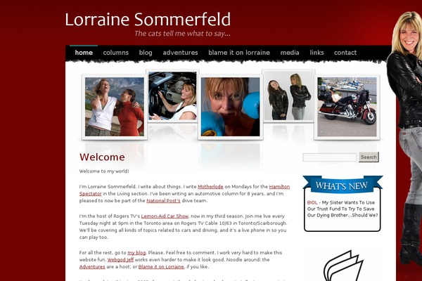 Site using Contact Form by BestWebSoft plugin