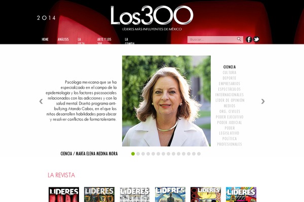 300 theme websites examples