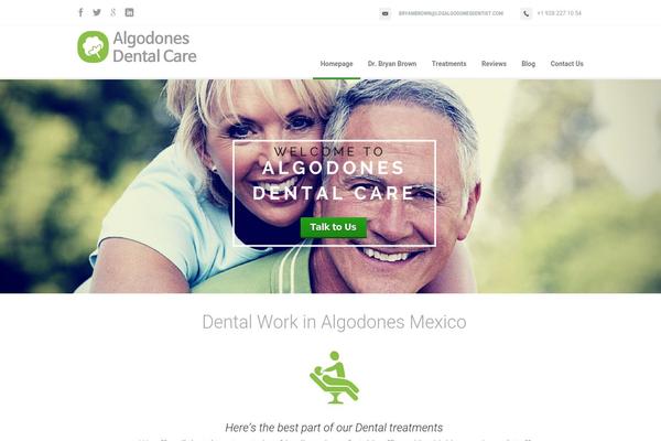 Florida theme site design template sample