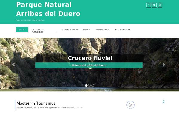 Enigma Premium theme site design template sample