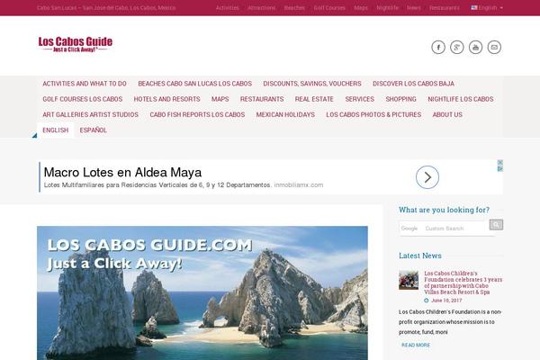 Site using Simple Facebook Page Widget & Shortcode plugin