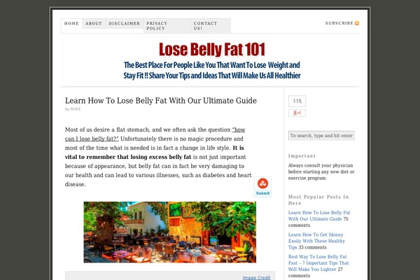 losebellyfat101.org site used Thesis 1.8