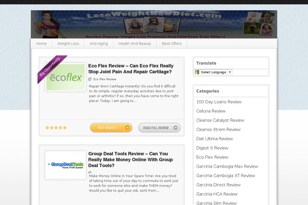 Proreview theme site design template sample