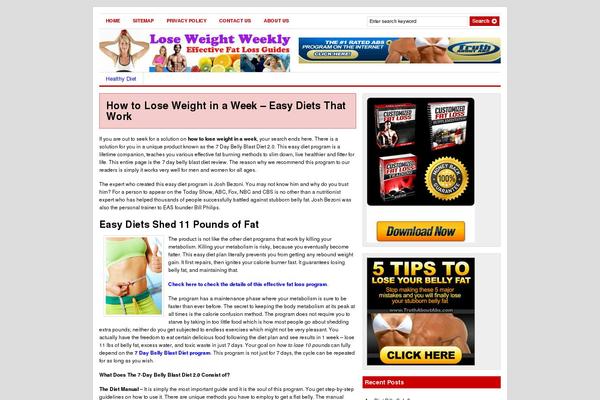 Flat Responsive theme site design template sample