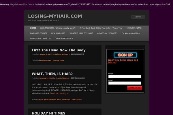 Catch Box theme site design template sample