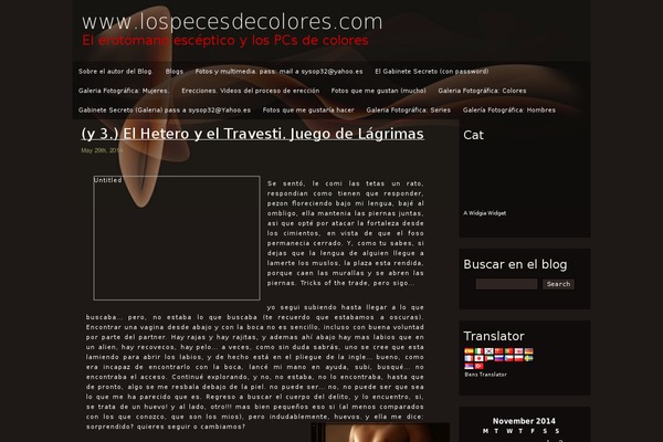Site using Bens Translator plugin