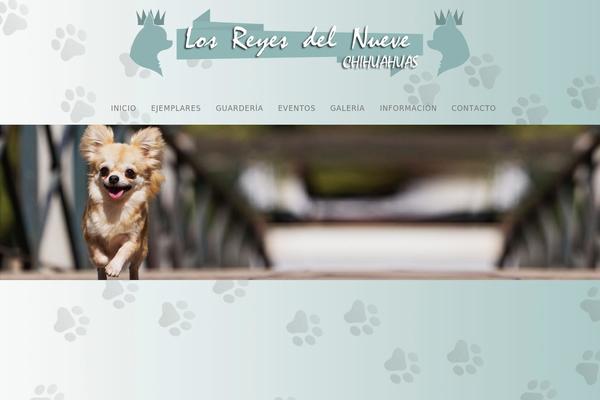 losreyesdelnueve.com site used Biznaz