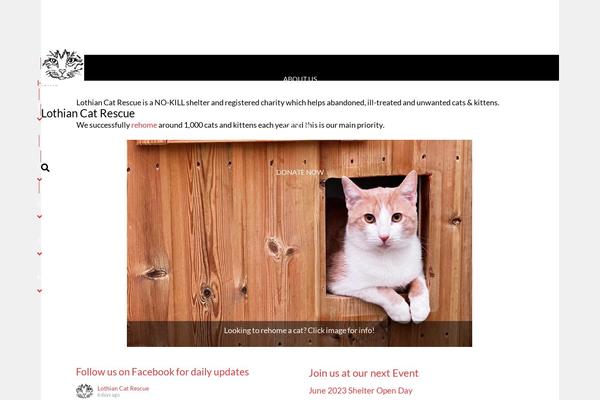 Site using Litespeed-cache plugin