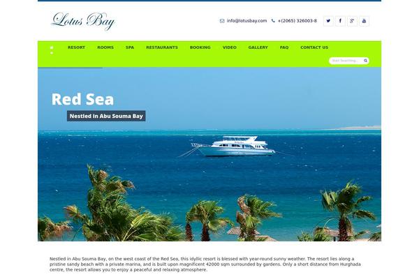 Official theme site design template sample