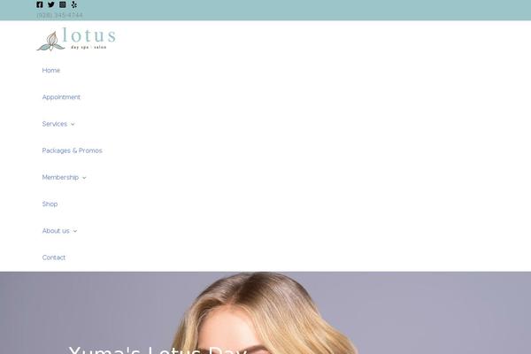 Site using Skyboot-custom-icons-for-elementor plugin