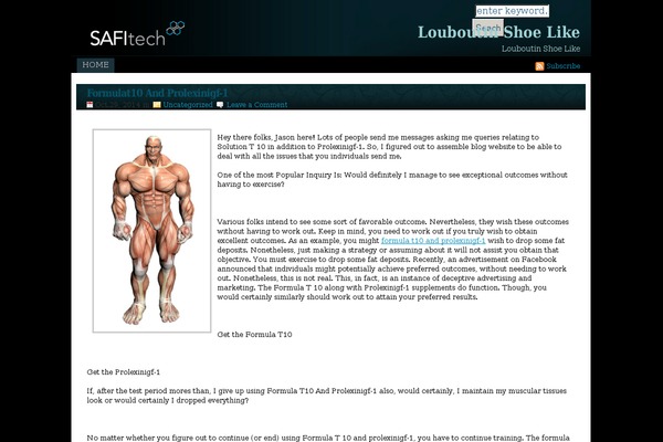 louboutinshoelike.com site used SafiTech
