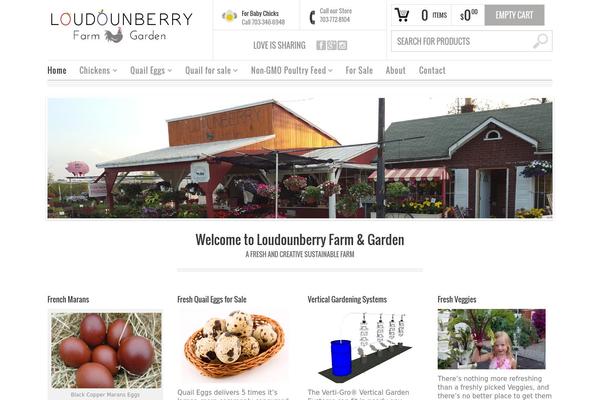 Bazar theme site design template sample