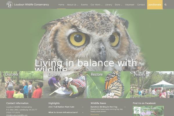 Site using Wp-image-lazy-load plugin