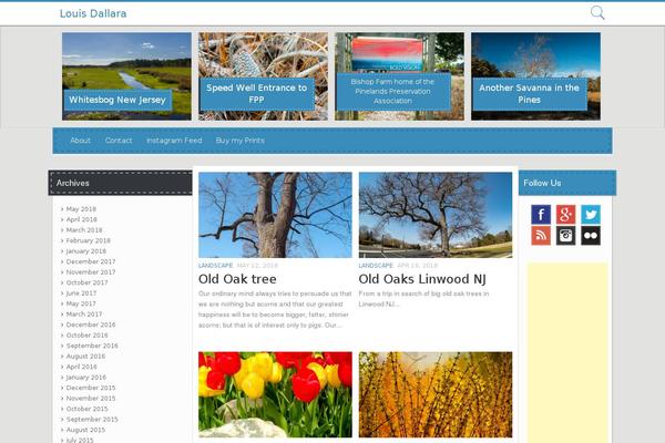 15Zine theme site design template sample