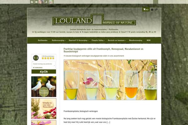 Enfinity theme site design template sample