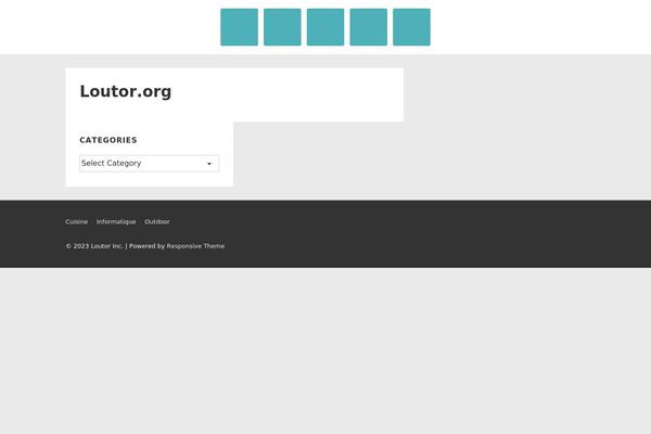 Site using Social Icons Widget by WPZOOM plugin