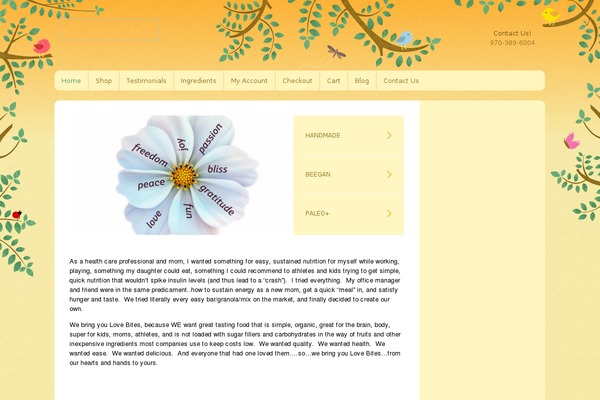 Sunny-kids-wordpress theme site design template sample