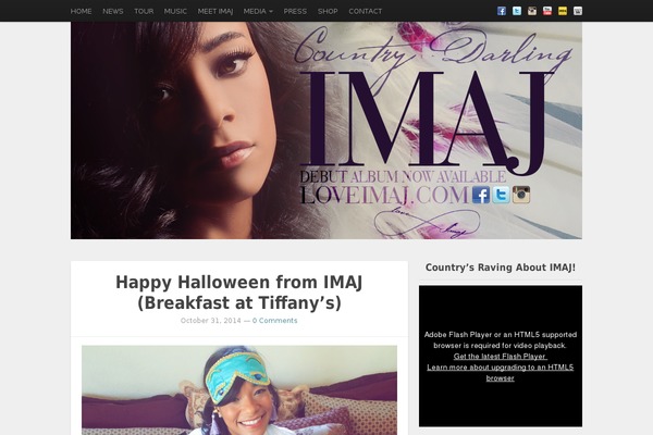 Standard theme site design template sample