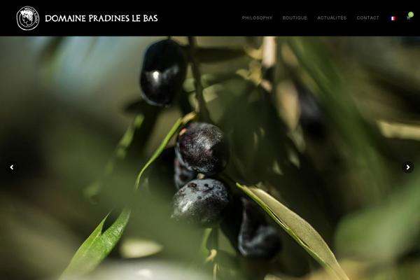 Site using Kadence-slider plugin