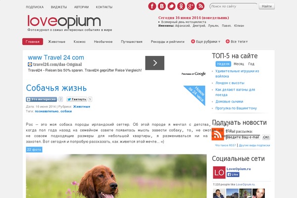 Ad-mania theme site design template sample
