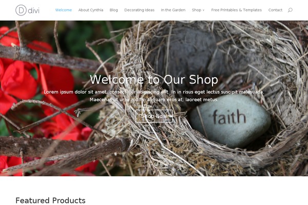 Site using Cart66 plugin